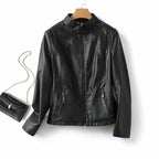 Blake Classic Leather Jacket